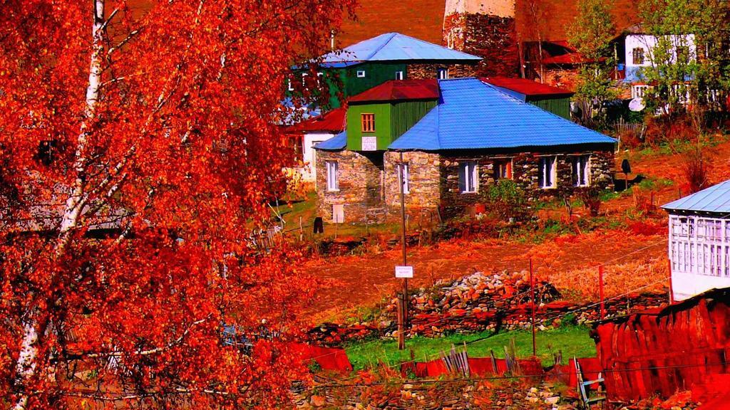 Guest House Qaldea Ushguli Zewnętrze zdjęcie